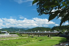 暑い日は木陰から