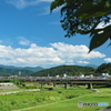 暑い日は木陰から
