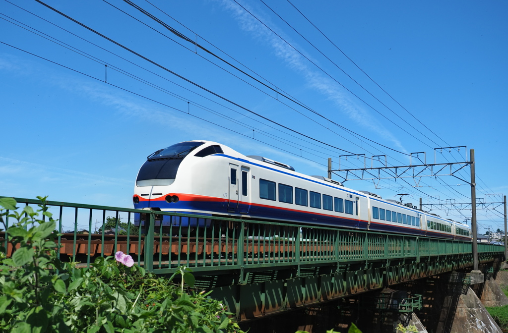 信越本線 加茂川橋梁