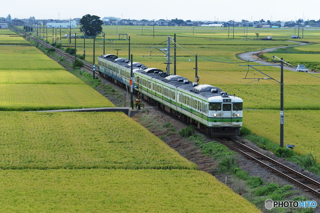 姿を消した鉄路の仲間たち -115系 N35編成-  