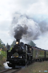 熊よけの鈴を鳴らしながら   