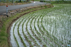 価格騒動をよそに！！