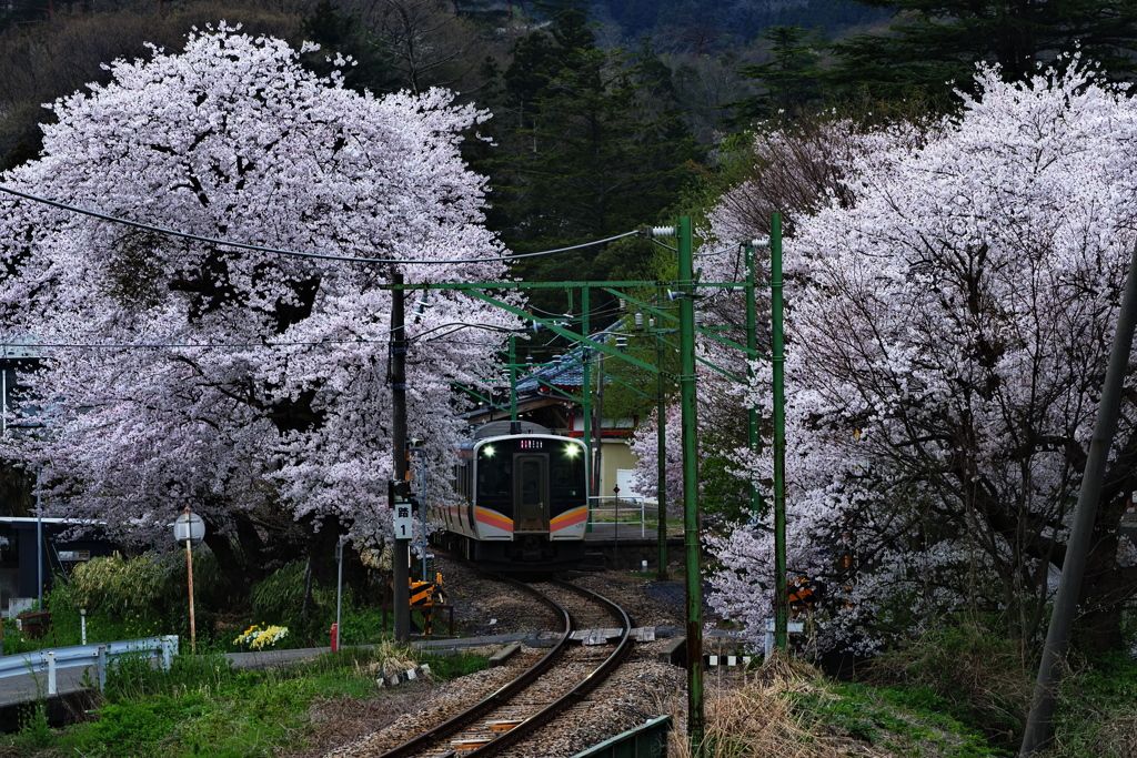 弥彦駅発車