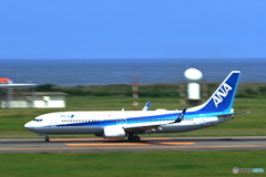 ANA機 着陸