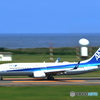 ANA機 着陸
