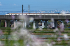自動運行計画が発表された 上越新幹線