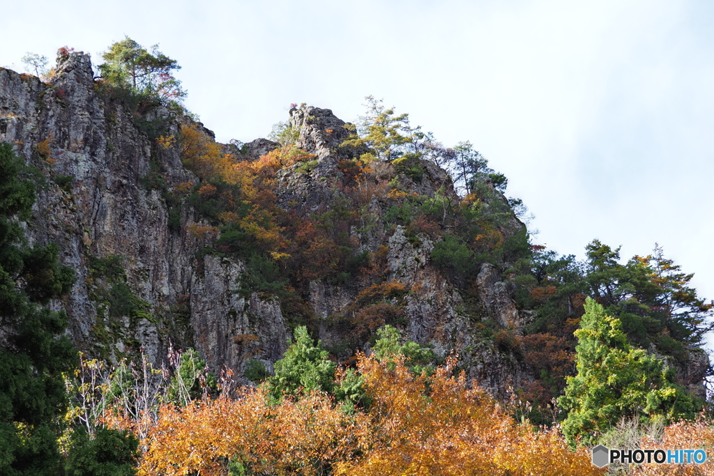 岩壁の紅葉（右端）