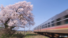 非電化路線の春