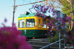 かぼちゃ電車・東関屋行