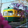 かぼちゃ電車・東関屋行
