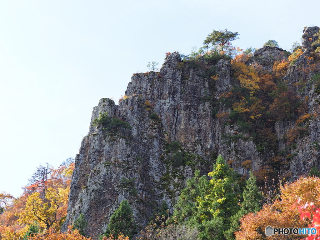 岩壁の紅葉（左端）