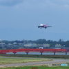peach 関空から