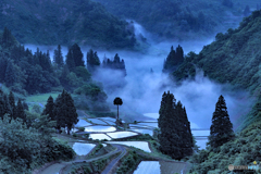 朝霧沸く棚田と棚池