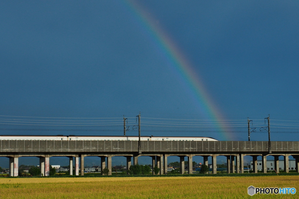 にわか雨の置き土産 