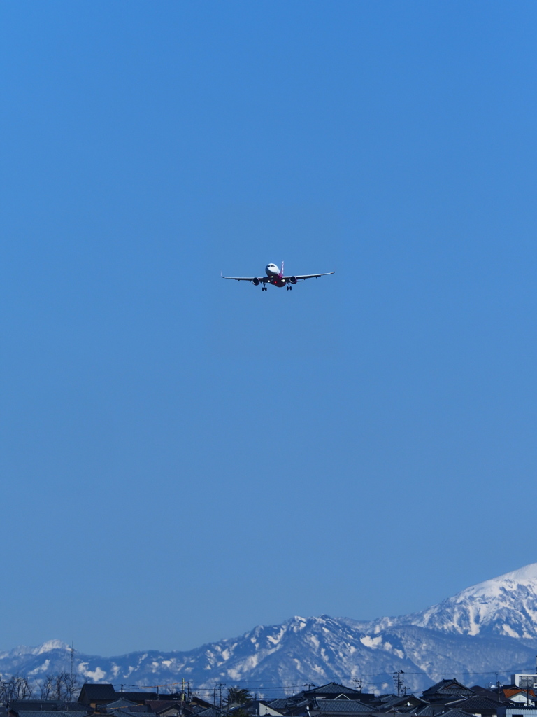 春日和…上空はピーチ機