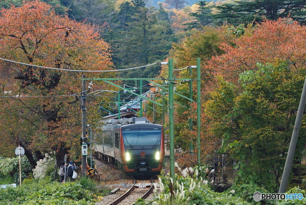 列車は もみじ「海里」紅葉は「桜」もみじ