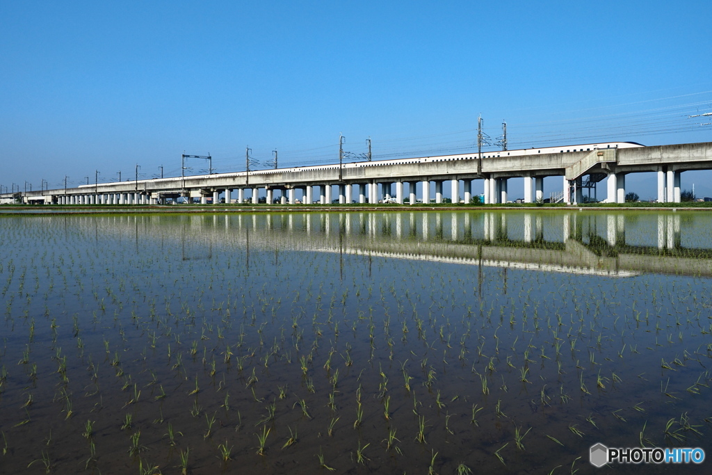 新潟平野の朝景