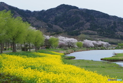 水辺の三重奏