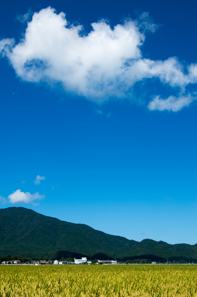 天高く