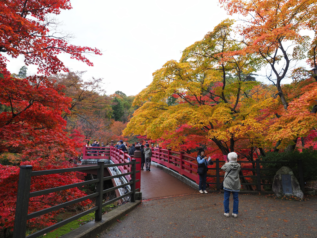 観月橋 by なべかつ （ID：11468209） 写真共有サイトPHOTOHITO