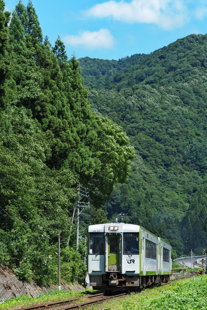 夏の里山を行くキハ110気動車