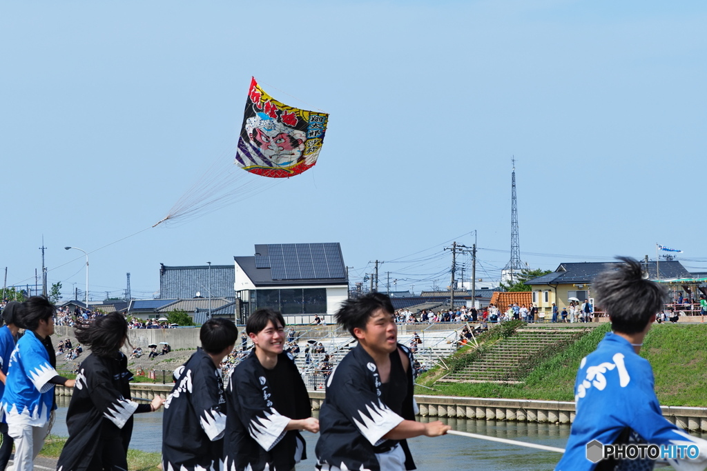 祝い凧