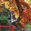 もみじ谷-3