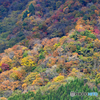 染まる山々 ④