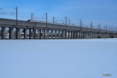 越後平野は雪の中