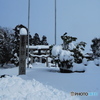 2月の豪雪…春はいつ来る？ 