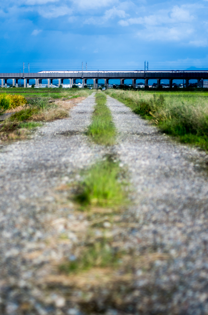 砂利道の先・・・