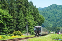 深緑の磐越西線