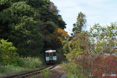 トンネル抜ける キハ110