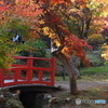 もみじ谷-2