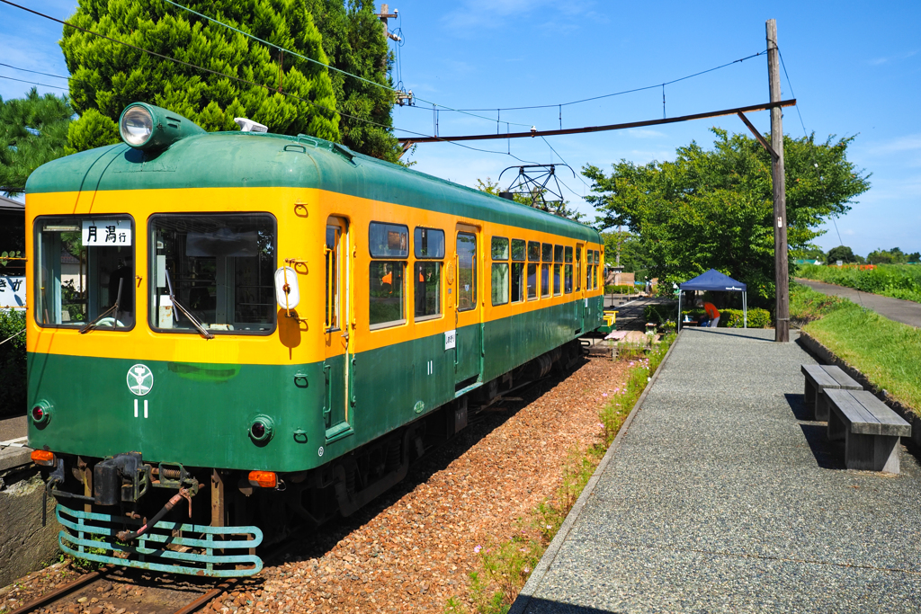 月潟行 かぼちゃ電車