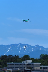 FDA機は着陸態勢 カモメは着水態勢