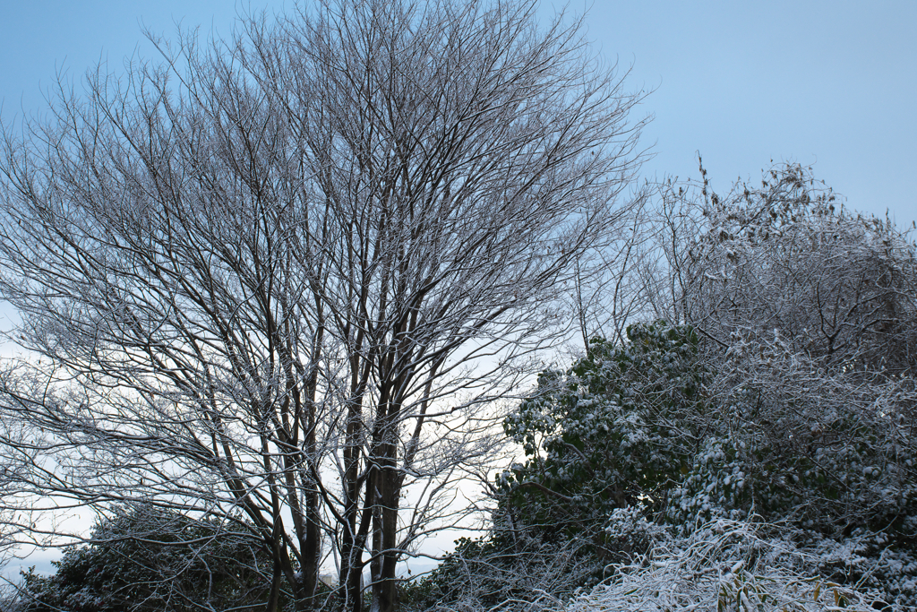 雪景色☆彡