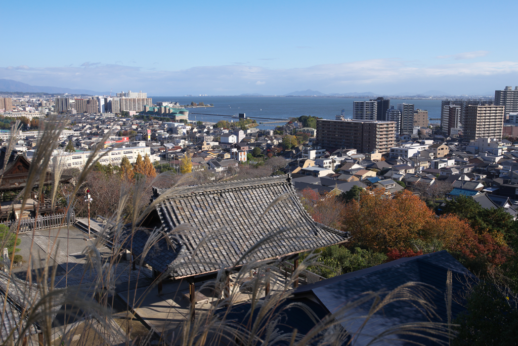 三井寺の紅葉☆彡