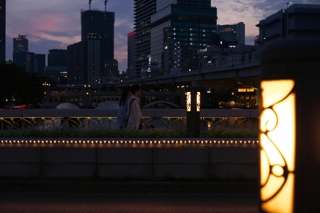 Night in Osaka ④