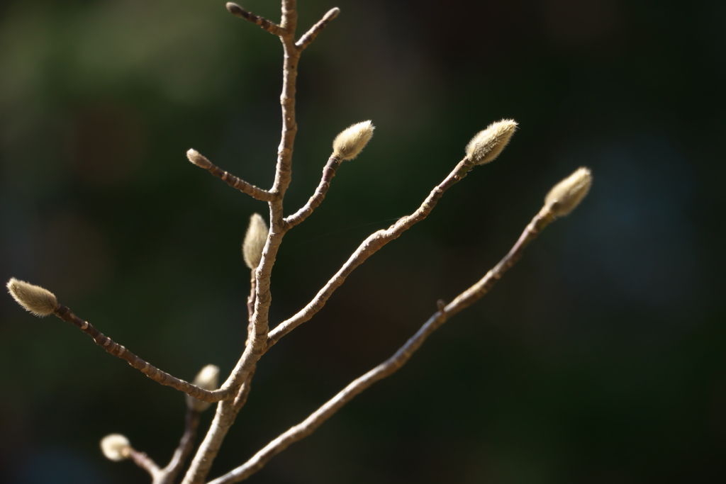 P1090045