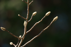 P1090045