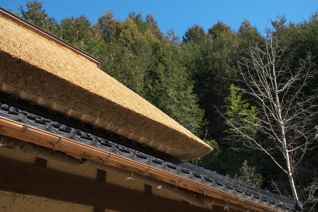 春を待つ里山2☆彡