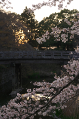 城下・田園のさくら咲く☆彡