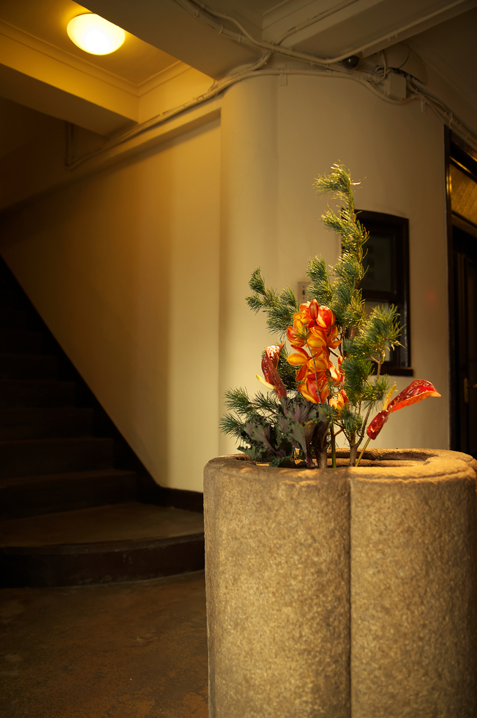 ぶらり大阪2026☆彡