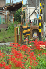 ローカル線の風景