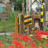 ローカル線の風景