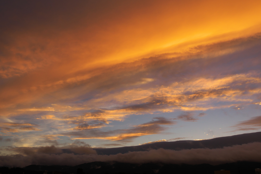 暫くの間、お休み致します。