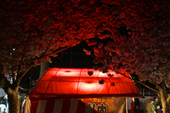 祭りの夜