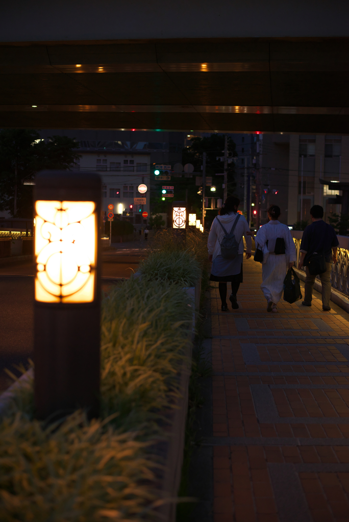 Night in Osaka ⑥
