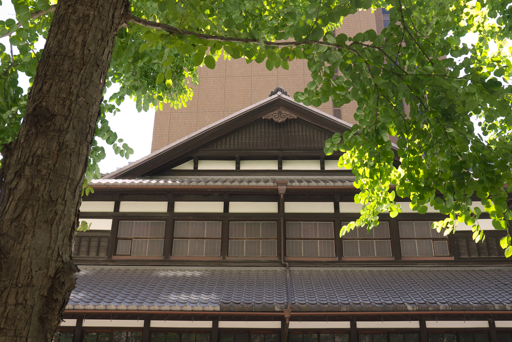 ぶらり大阪①（レトロ建築へ旅）